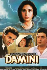 دانلود فیلم Damini 1993 دانلود فیلم Damini 1993