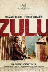 دانلود دوبله فارسی فیلم Zulu 2013