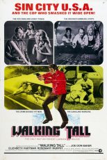 دانلود دوبله فارسی فیلم Walking Tall 1973