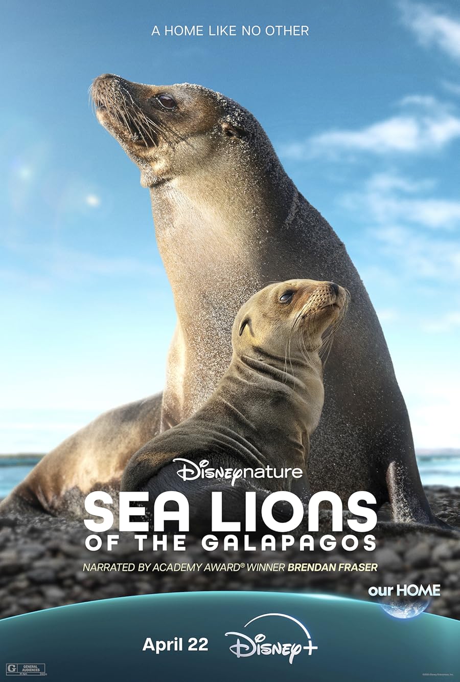 دانلود فیلم Sea Lions of the Galapagos 2025 با دوبله اختصاصی دانلود فیلم Sea Lions of the Galapagos 2025 با دوبله اختصاصی